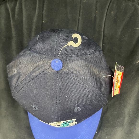 MILB Ogden Raptots Ball Cap - Picture 2 of 3